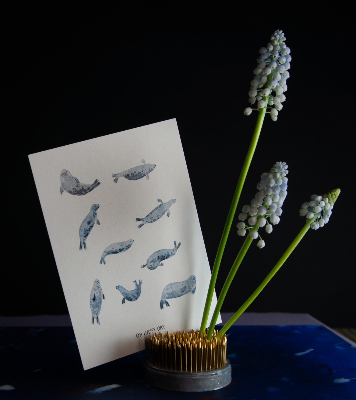 Blumengalerie-Shop-Grusskarten-Seehunde- Oh Happy Day.jpg